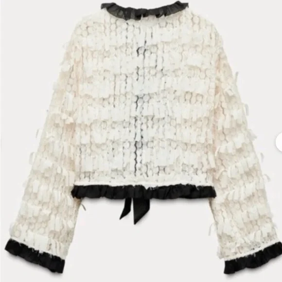 NWT Zara Ivory Ruffle-Trim Sheer Blouse - Picture 2 of 11